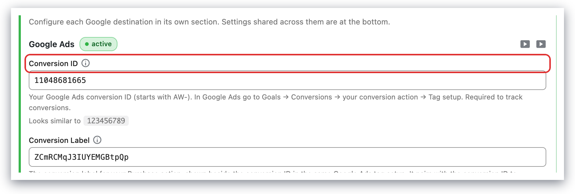 The Google Ads Conversion ID and Conversion Label fields in Pixel Manager for WooCommerce