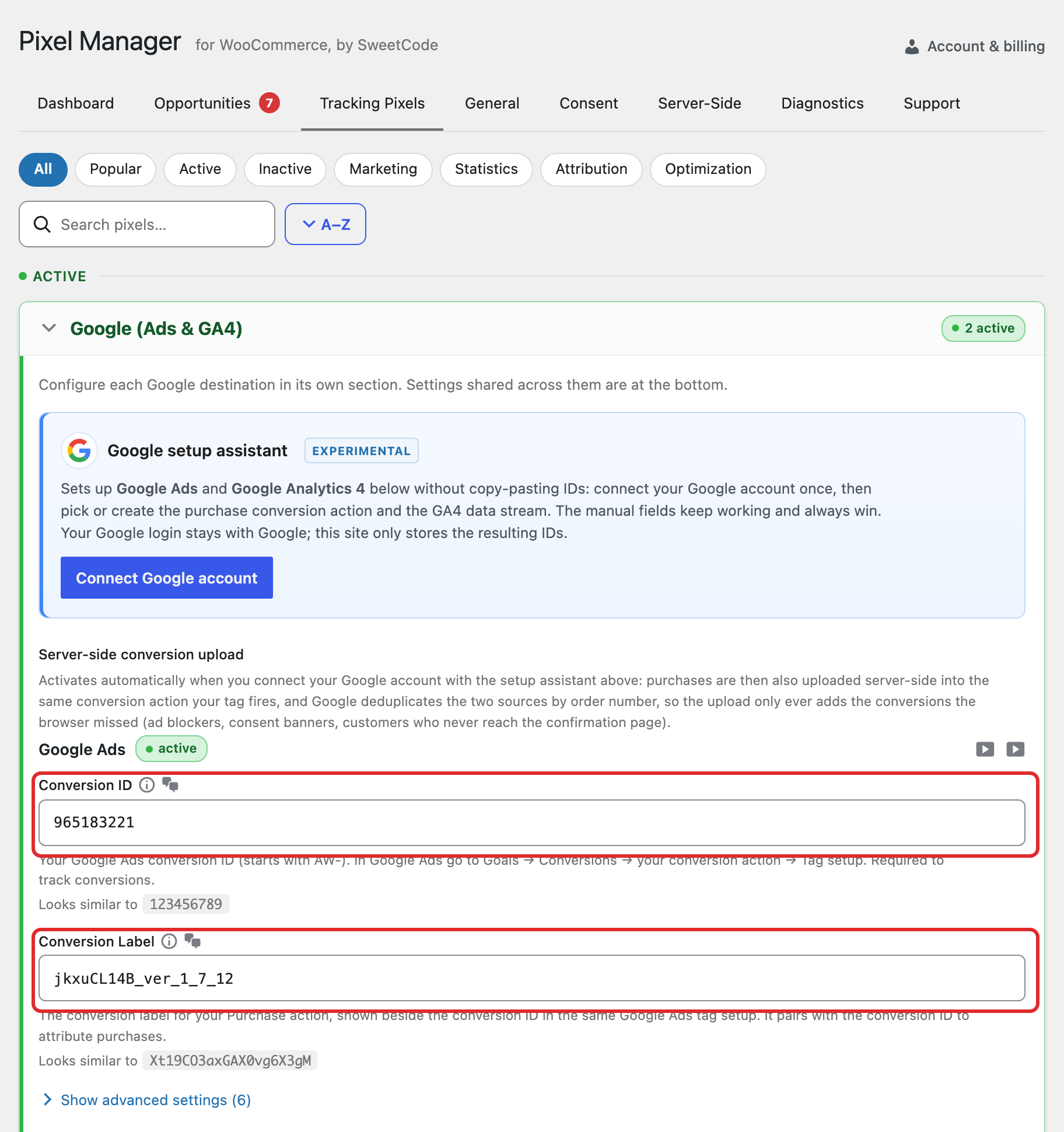 The Google card in the Pixel Manager, showing the two Google Ads credentials fields